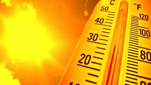 Как пережить жару – несколько советов
