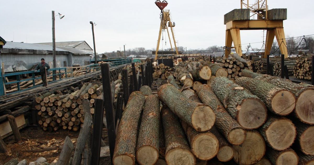 Зміни на ринку деревини України